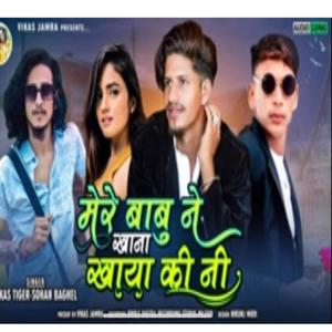 Mere Babu Ne Khana khaya (feat. Sohan Baghel & Vikash Mourya)