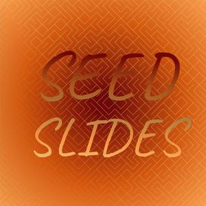 Seed Slides