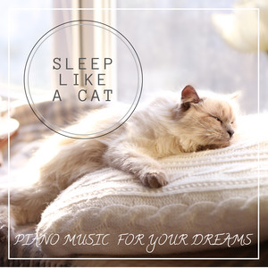 Sleep like a Cat : Piano Music for your Dreams