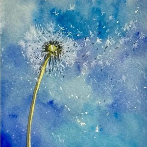 六月的花-王粲雯