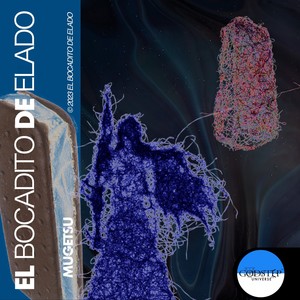 El bocadito de elado