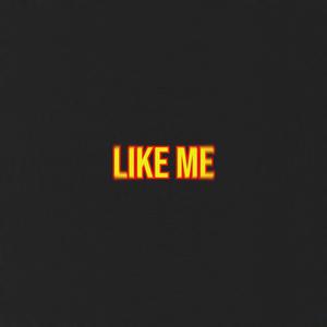 Like Me (Explicit)