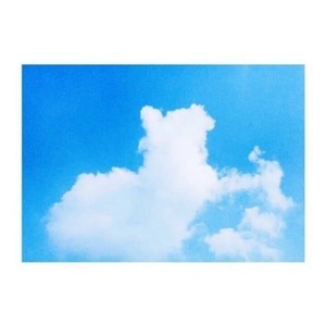 未知伴侣
