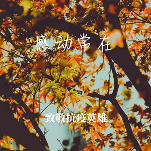 感动常在