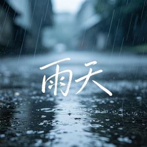 雨天 (烟嗓版)封面