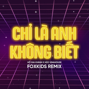 Chỉ Là Anh Không Biết (Remix)