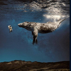 我曾给父亲的诗 (Live)