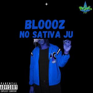 Bloooz