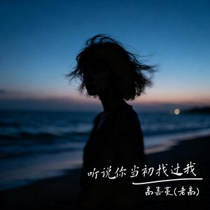 听说当初你找过我-高嘉蔓(老高)
