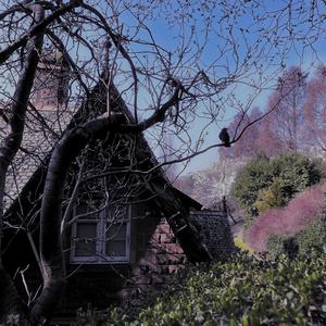 bittersweet (Explicit)