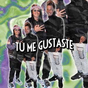 Tu me gustaste (feat. El blins)