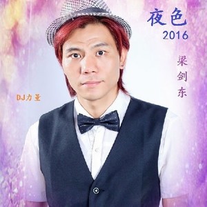 梁剑东 - 夜色2016 (DJ Candy版|DJ版)