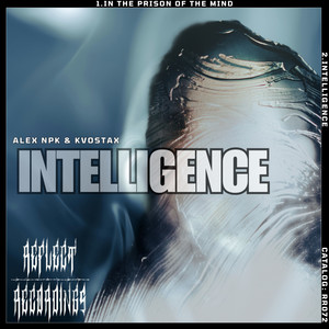 In The Prison Of The Mind (Original Mix)