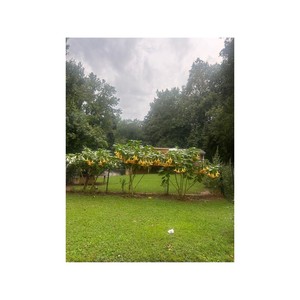 Mi Delito Es Ser Latino