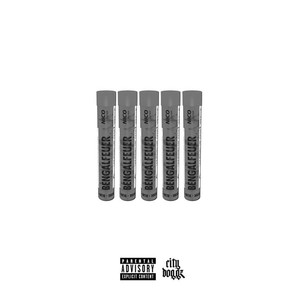 WAS ISCH MIT DIM G PASSIERT ? (Explicit)