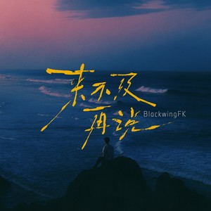 来不及再说 (伴奏)