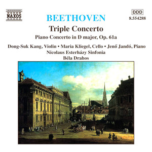 Piano Concerto in D Major, Op. 61a - III. Rondo
