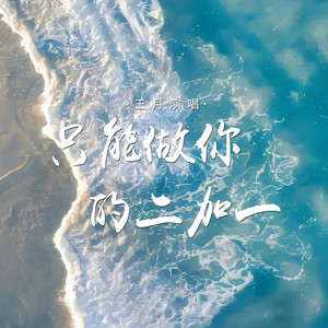 只能做你的二加一