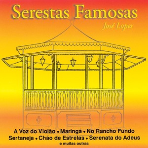 A voz do violao