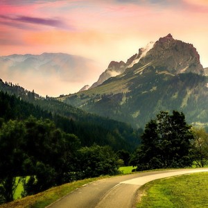 휴식의 숲(힐링음악)