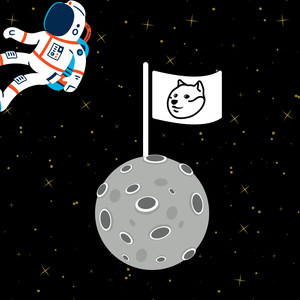 Dogecoin to the Moon
