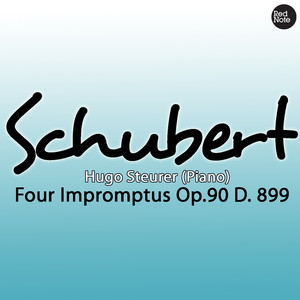 Four Impromptus, Op.90 / D. 899: Allegro - Andante - Allegretto