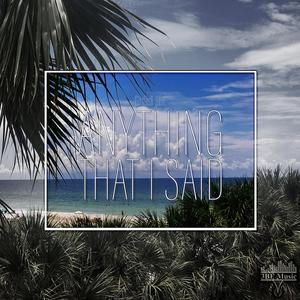 Anything That I Said (Conmerical Remix|Explicit)