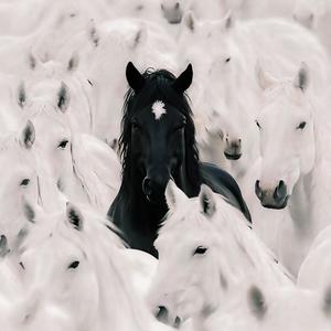 cash rules (feat. lanoswrld) (Explicit)