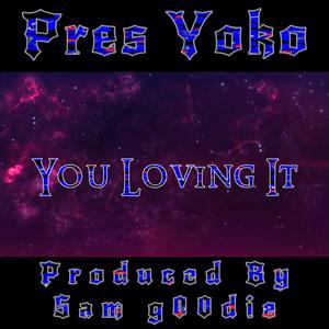 You Loving It (feat. Pres Yoko) [Explicit]