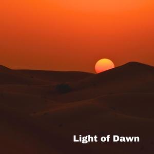 Light of Dawn (feat. Thaddaeus Magley & Serenity Quest)