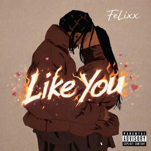 Like You (Explicit)