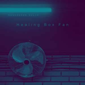 Healing Box Fan