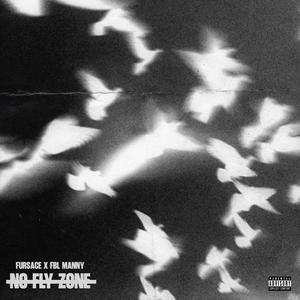 NO FLY ZONE (Explicit)