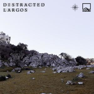 DISTRACTED (Explicit)