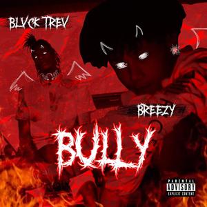 Bully (feat. Breezy) [Explicit]