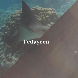 Fedayeen