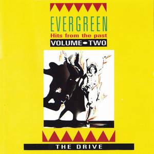 Evergreen Hits from the Past, Vol. 2