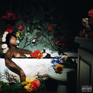 Bloom In A Dark Room (Explicit)