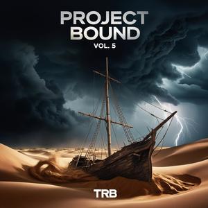 Project Bound, Vol. 5 (Explicit)