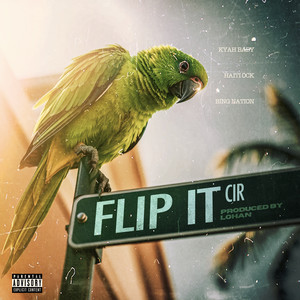 Flip It (Explicit)