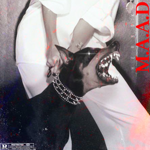 Stars In The Ceiling (Remix|Explicit)