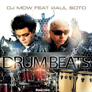 Drum Beats (Flava Bonus Beats)