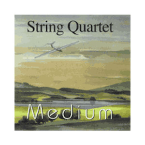 String Quartet - Medium