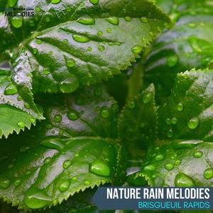 Nature Rain Melodies - Brisgueuil Rapids