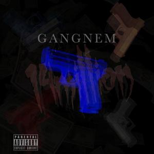 GANGNEM (feat. CASHBANDIT) [Explicit]