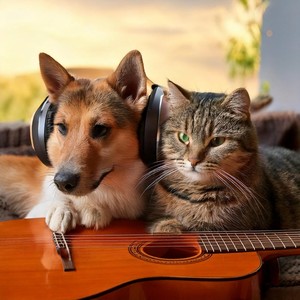 Companions' Harmony: Guitar Music for Pets