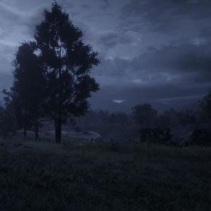 my favorite tree (feat. gothbrydes) (Explicit)