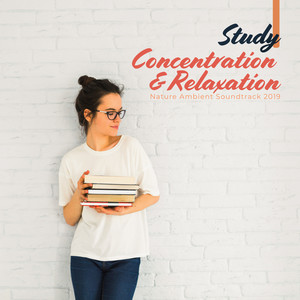 Study, Concentration & Relaxation Nature Ambient Soundtrack 2019