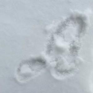 I'M TRYNA FREAK (Explicit)