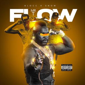 Mr T Flow (Explicit)